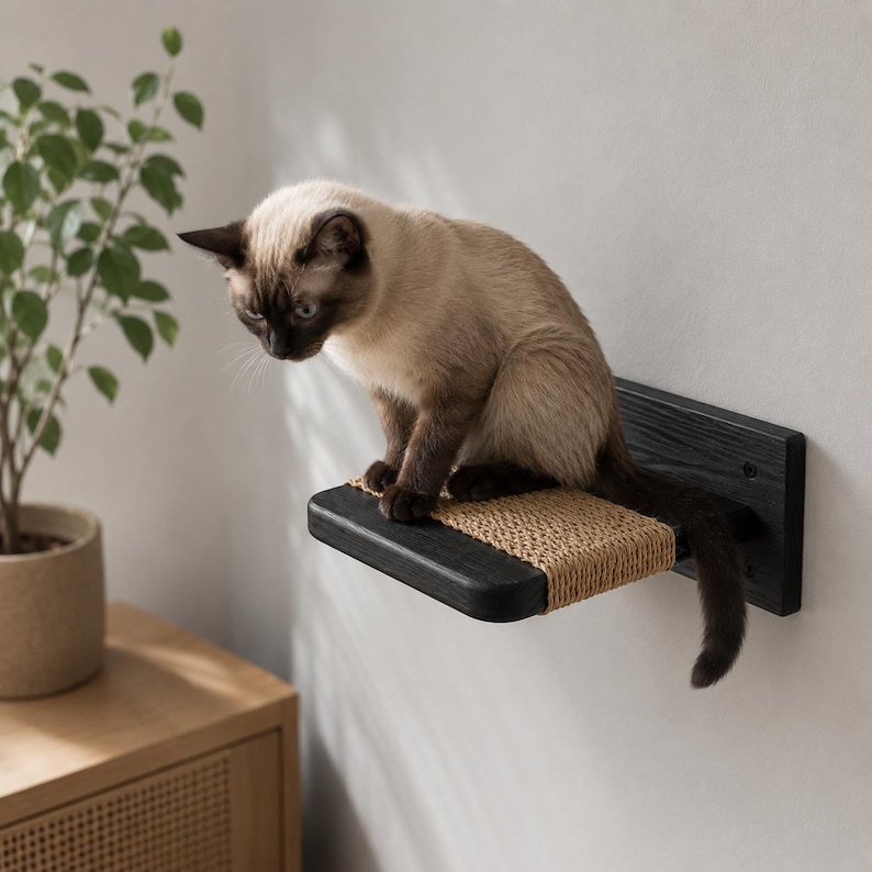 May include: A Siamese cat sits on a black wooden cat shelf mounted on a white wall. The shelf has a woven sisal surface. A potted plant and wooden cabinet are in the background.