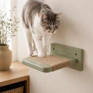 Puede incluir: Una repisa de pared para gatos con base de madera color verde salvia y una superficie de rascado de cuerda de sisal texturizada. La repisa rectangular está fijada a la pared con tornillos visibles y sirve de plataforma para un gato atigrado.