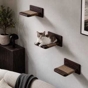 May include: Three dark wood cat shelves mounted on a light gray wall. The shelves have a woven sisal surface. A gray and white cat is resting on one of the shelves. The shelves are a modern cat furniture design.