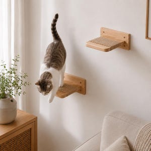 May include: A tabby cat jumps from a wooden cat shelf with a sisal scratching surface. The shelf is mounted on a white wall. A second shelf is visible above the first. The cat has brown and white fur.