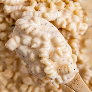 HET BESTE RECEPT voor Boursin Mac And Cheese: ultraromige en kaasachtige download.