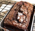 THE BEST Hot Fudge Brownie Bread – Ultra Rich & Gooey Chocolate Treat Download.
