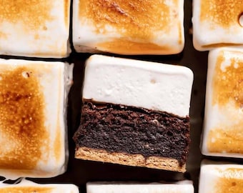 THE BEST Recipe For Fudgy S’mores Brownies – Gooey, Chocolatey & Irresistible Download.