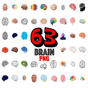 Gehirn PNG Bundle - Digitale Dateien für Handwerk & DIY-Projekte - Digital Download - Sofort - Gehirne