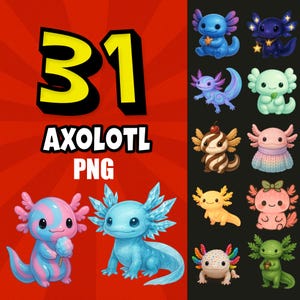Puede incluir: Una colección de 31 imágenes PNG de ajolotes. La imagen presenta varias ilustraciones coloridas de ajolotes, incluyendo variantes azules, rosas y verdes. Algunos ajolotes tienen accesorios como estrellas, lazos y suéteres. El texto "31 AXOLOTL PNG" se muestra.