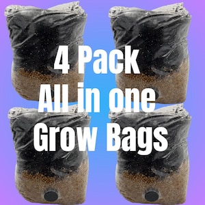 3 lb. 4 Pack All in One Mushroom Grow Bags