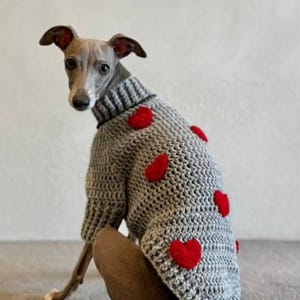 Pull en tricot fait main pour lévriers italiens, Iggy, whippet et autres petites races