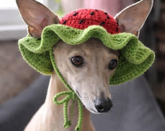 Handgefertigte Sommermütze für italienisches Windspiel, Whippet, Windhund, Galgo - Watermelon Lemon Strawberry