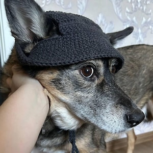 Handgemachte Häkelmütze für Hunde mit Kinnband