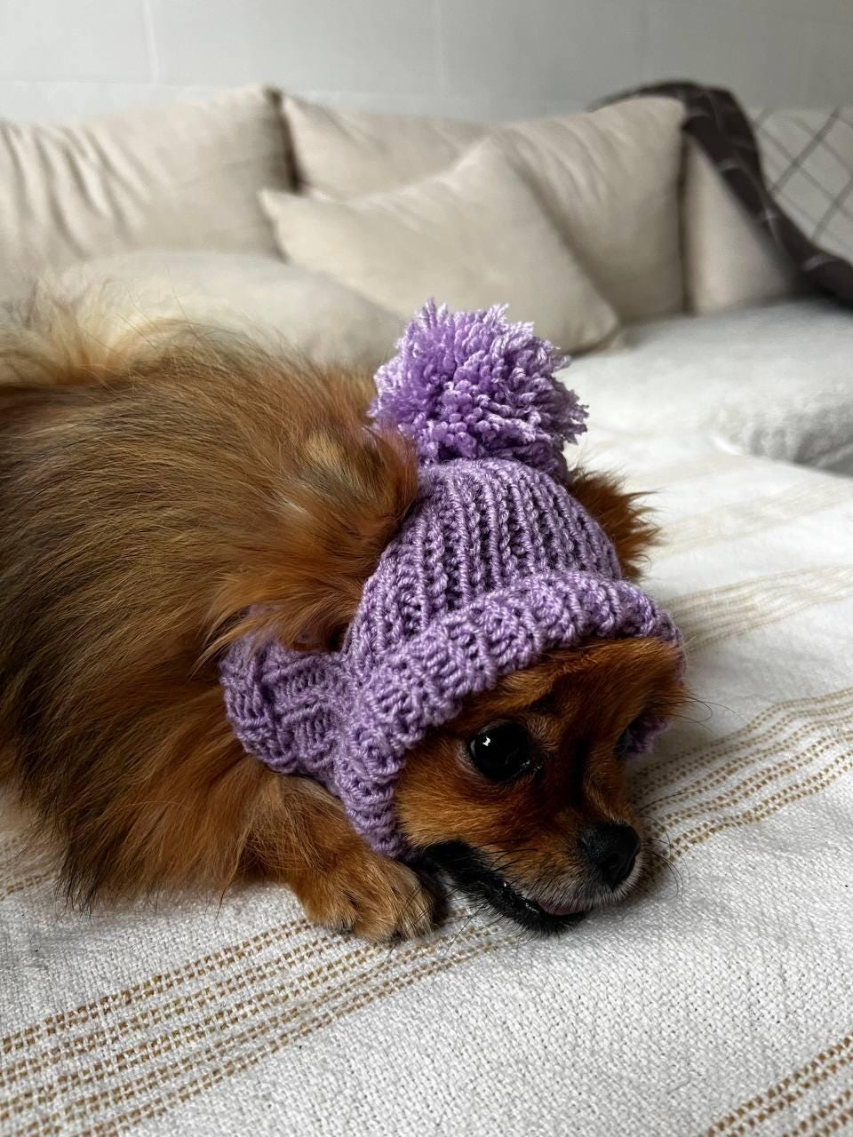 Gebreide muts - winterhond breien hoed, puppy gezellige capuchon met oorbeschermer schattige huisdier kleding nek en hoofd beschermer voor kleine, middelgrote, grote honden