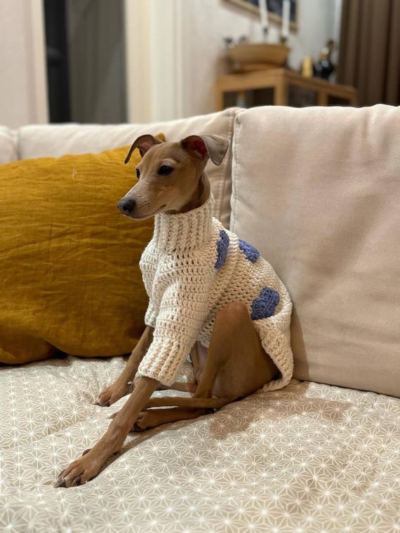Handmade knit sweater for Italian Greyhound, Iggy, whippet and other small breeds