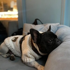 Handmade knit sweater for french bulldog and pug