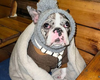 Handmade crochet pompom Hat with Ear Holes for french bulldog and pug