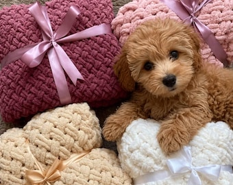 Handmade Dog Plush Pet Blanket