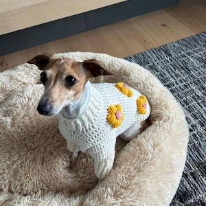 Handmade knit sweater for Italian Greyhound, Iggy, whippet and other small breeds