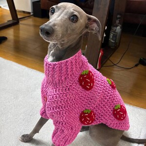 Op de afbeelding: Een grijze Italiaanse Greyhound draagt een roze, handgehaakte trui. De trui is versierd met rode aardbeien met groene bladeren. De hond zit op een lichtgekleurd tapijt, met een houten tafel en andere objecten op de achtergrond.