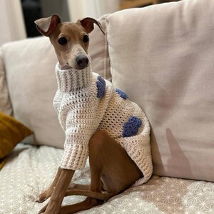 Op de afbeelding: Een kleine, bruine hond draagt een cr&egrave;mekleurige, handgehaakte trui met een hoge kraag en blauwe accenten. De hond zit op een oppervlak met een patroon, met een kussen in neutrale tinten op de achtergrond. De trui heeft een textuur.