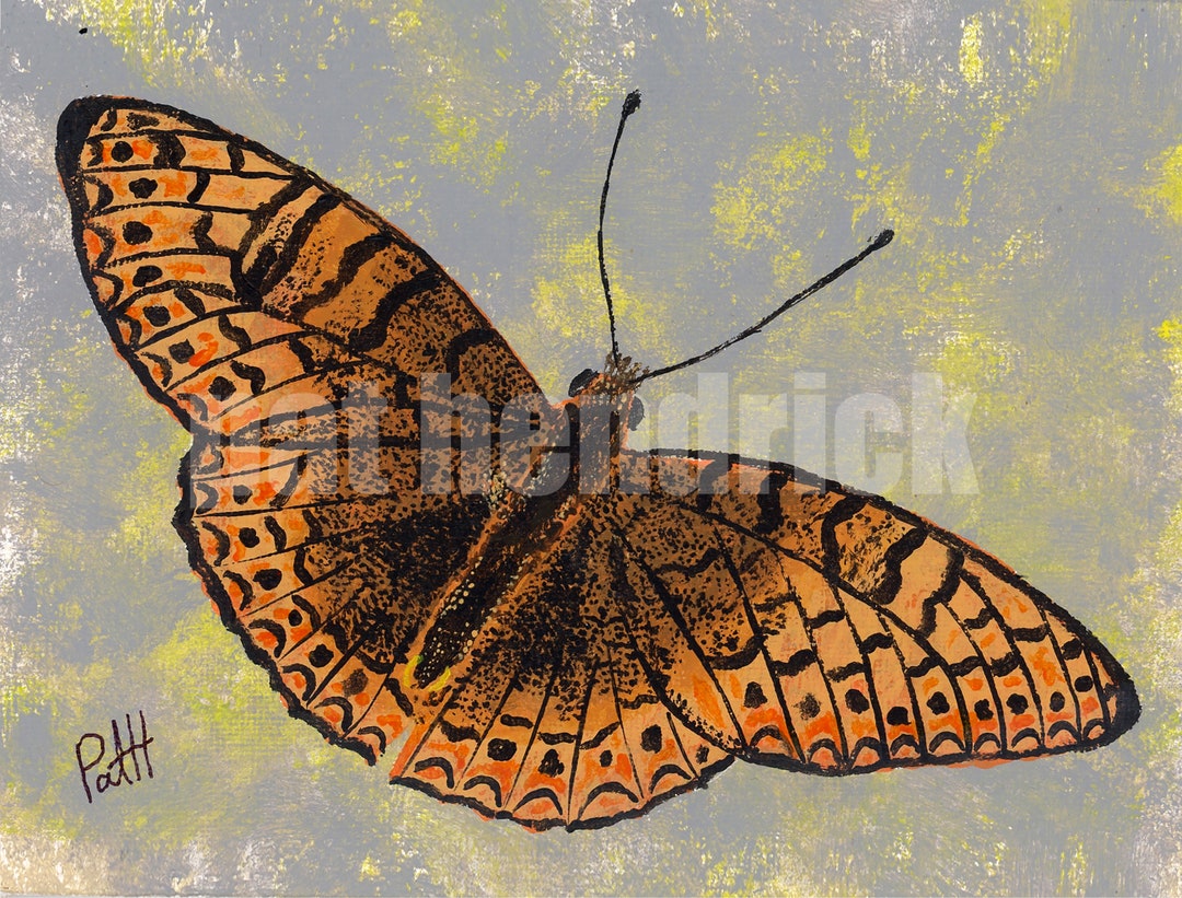 Fritillary Butterfly Note Card Butterfly Card Envelope Item - Etsy