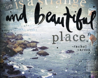 Strange and Beautiful - paper print - inspirational ocean word art