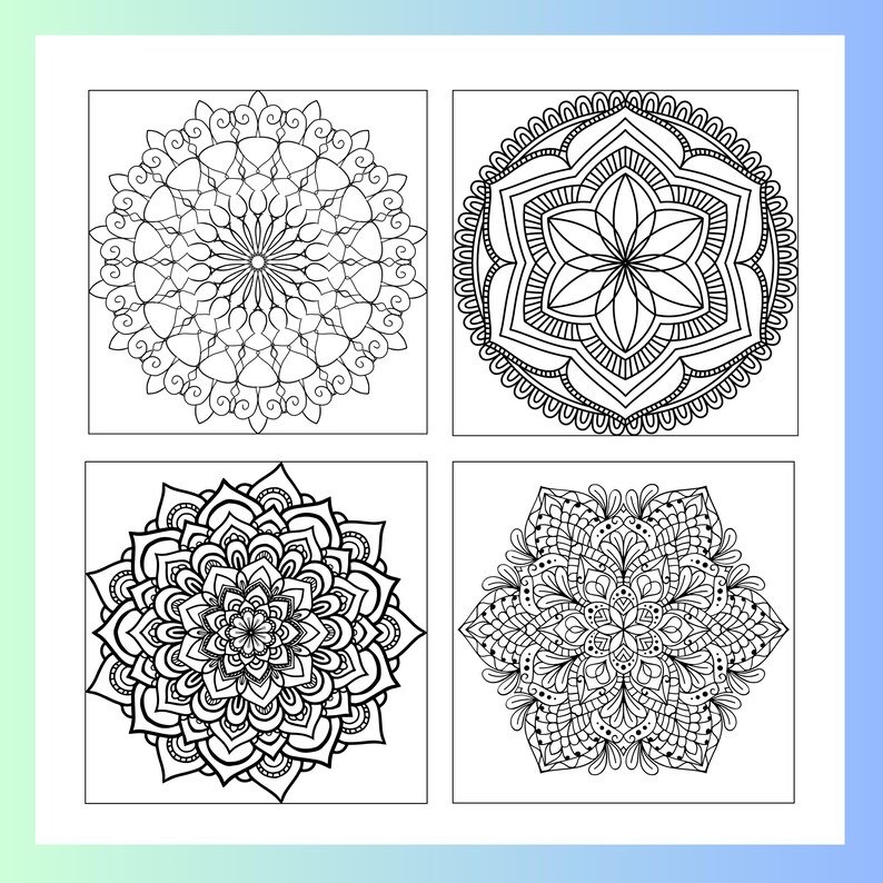  16 Circular Mandalas Coloring Book - Intricate Round Designs for Bildidee 