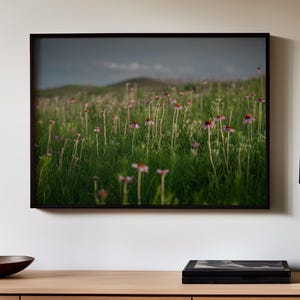 Konza Prairie Poster Kansas Flint Hills Wall Art Prairie Landscape Print Wildflower Photography Country Farmhouse Decor