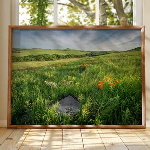 Konza Prairie Poster Kansas Flint Hills Wall Art Prairie Landscape Print Wildflower Photography Country Farmhouse Decor
