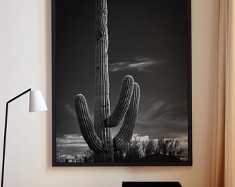 Puede incluir: Impresión en blanco y negro enmarcada de un cactus saguaro contra un cielo nublado. El cactus tiene múltiples brazos y una superficie texturizada. La impresión se muestra en una pared de color claro sobre un escritorio de madera.