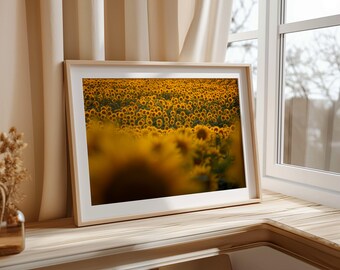 Kansas Sunflower Field Photography Print: Farmhouse Decor