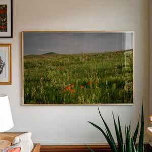 Konza Prairie Poster Kansas Flint Hills Wall Art Prairie Landscape Print Wildflower Photography Country Farmhouse Decor