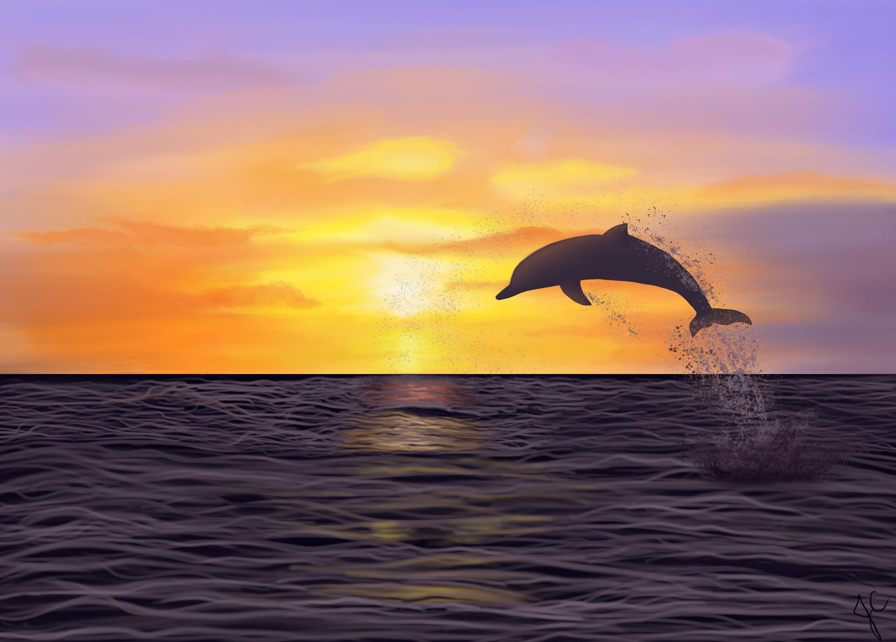 Delfin Springen im Sonnenuntergang | Etsy