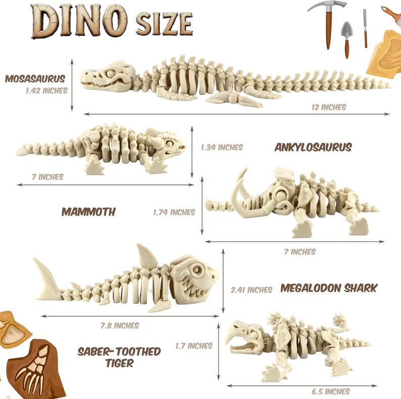 May include: An illustration showing the size of various dinosaur skeleton models. The models include a Mosasaurus (12 inches long), an Ankylosaurus (7 inches long), a Mammoth, a Saber-Toothed Tiger (7.8 inches long), and a Megalodon Shark (6.5 inches long).