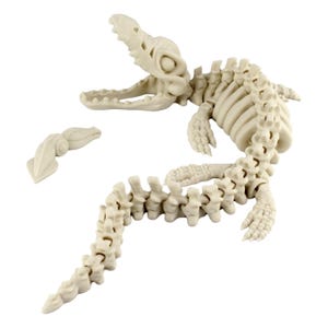 May include: A detailed, off-white dinosaur skeleton model with an open jaw. The model is composed of multiple pieces, including a detached head and tail section, and is set against a white background.