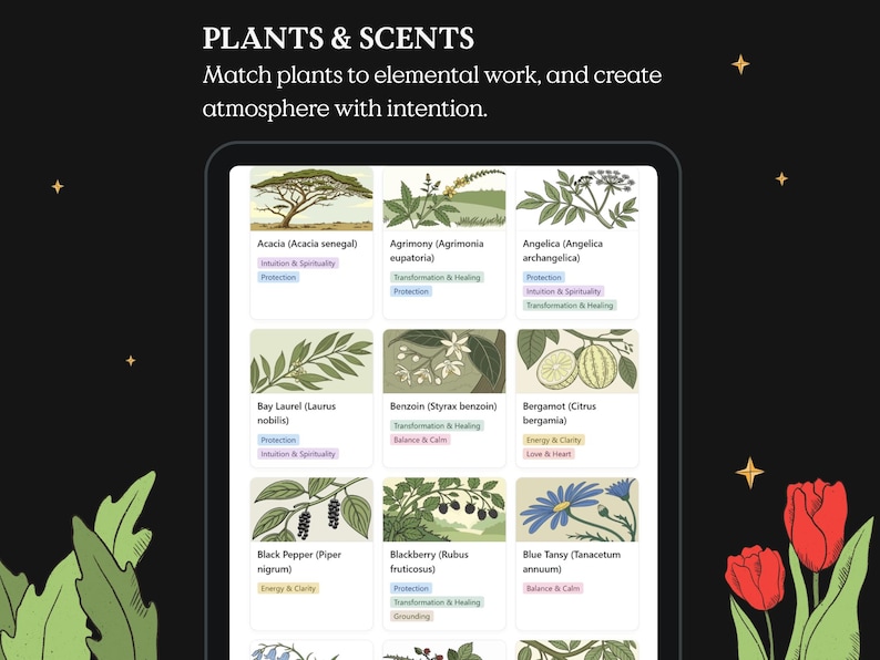 May include: A digital display with the text "PLANTS & SCENTS" and a description of matching plants to elemental work. The display shows illustrations of various plants, including acacia, agrimony, and angelica, with their names and associated properties.