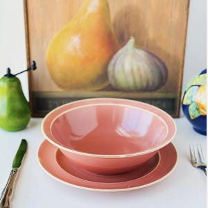 1930s Vintage Homer Laughlin 14 PCs Set Wells ART GLAZE PEACH Rose Plates Bowls