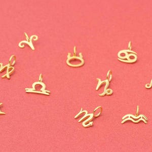 Tiny Solid Gold Zodiac Sign Necklace / Horoscope Charm / Astrology Jewelry image 7