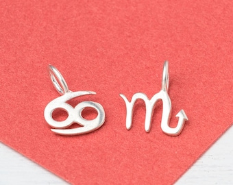 Sterling Silver Zodiac Necklace: Astrology Sign Charm / 277Z