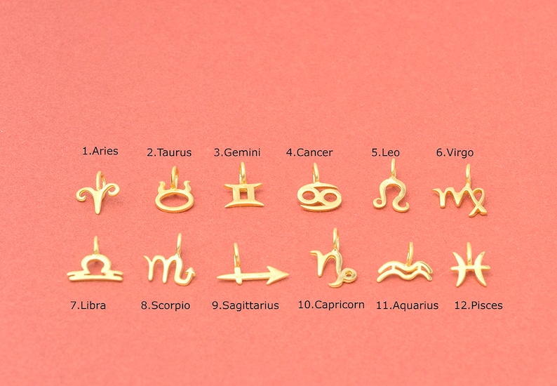 Petit collier signe du zodiaque en or massif / breloque horoscope / bijoux astrologie image 4