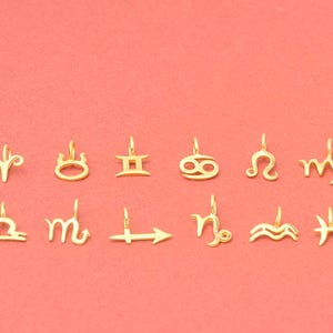 Collana minuscola in oro massiccio con segno zodiacale / ciondolo oroscopo / gioielli astrologici