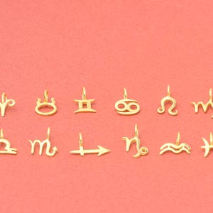 Tiny Solid Gold Zodiac Sign Necklace / Horoscope Charm / Astrology Jewelry