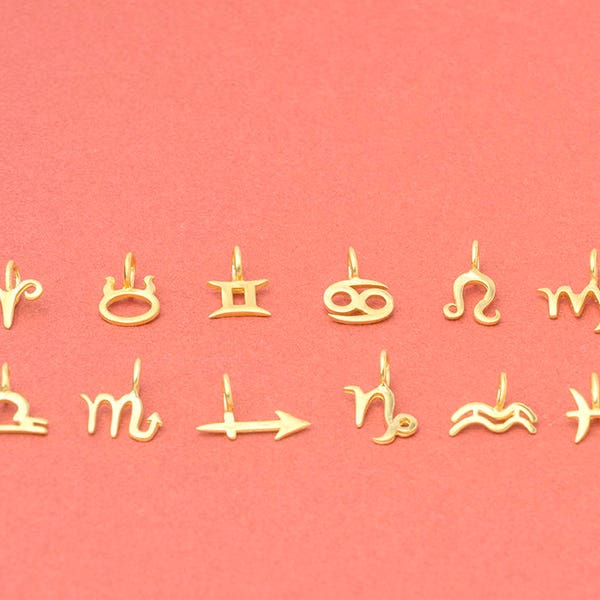 Tiny Solid Gold Zodiac Sign Necklace / Horoscope Charm / Astrology Jewelry