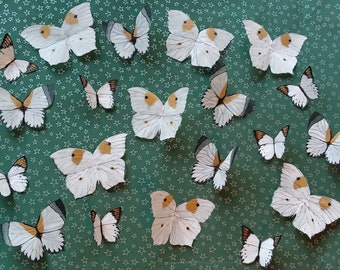 Silk Butterflies (set of 20pcs) Custom order Hand painted