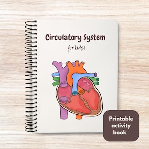Pode incluir: Um caderno espiralado com o título "Circulatory System for kids!" e uma ilustração colorida de um coração humano. Um quadrado castanho no canto inferior direito diz "Printable activity book".