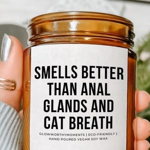 Funny Veterinarian Office Receptionist Soy Wax Candle, Vet Tech Assistant Appreciation Gag Gift, Veterinary Med School Vet Technician Week