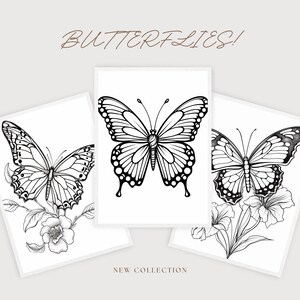 May include: Three black and white line drawings of butterflies. The butterflies are depicted with intricate details and are surrounded by floral elements. The text "BUTTERFLIES!" is at the top of the image and "NEW COLLECTION" is at the bottom.