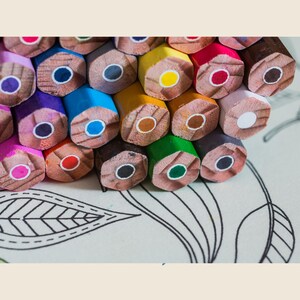 May include: A close-up of a pile of colored pencils, arranged in a circular pattern. The pencils are all different colors, including red, blue, green, yellow, and orange. The pencils are on a white surface with a black and white pattern.