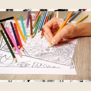 May include: A person's hand coloring a detailed black and white coloring book page with a set of colored pencils. The page features intricate floral designs.