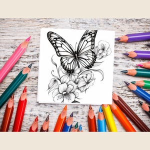May include: A black and white line drawing of a butterfly with flowers on a white sheet of paper. The paper is surrounded by colored pencils on a wooden surface.