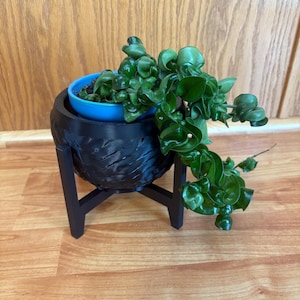 Può includere: Una pianta di Hoya verde con foglie ricce in un vaso blu, posta all'interno di una fioriera nera strutturata su un supporto nero. La pianta è posizionata su una superficie di legno, creando un contrasto di colori e trame. La pianta è una pianta da appartamento.