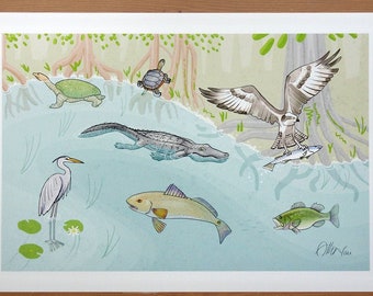 Florida Wildlife (13x19) + ID chart (8x10)