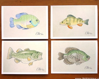 Freshwater Fish Greeting Cards - set of 4 (5 x 7)